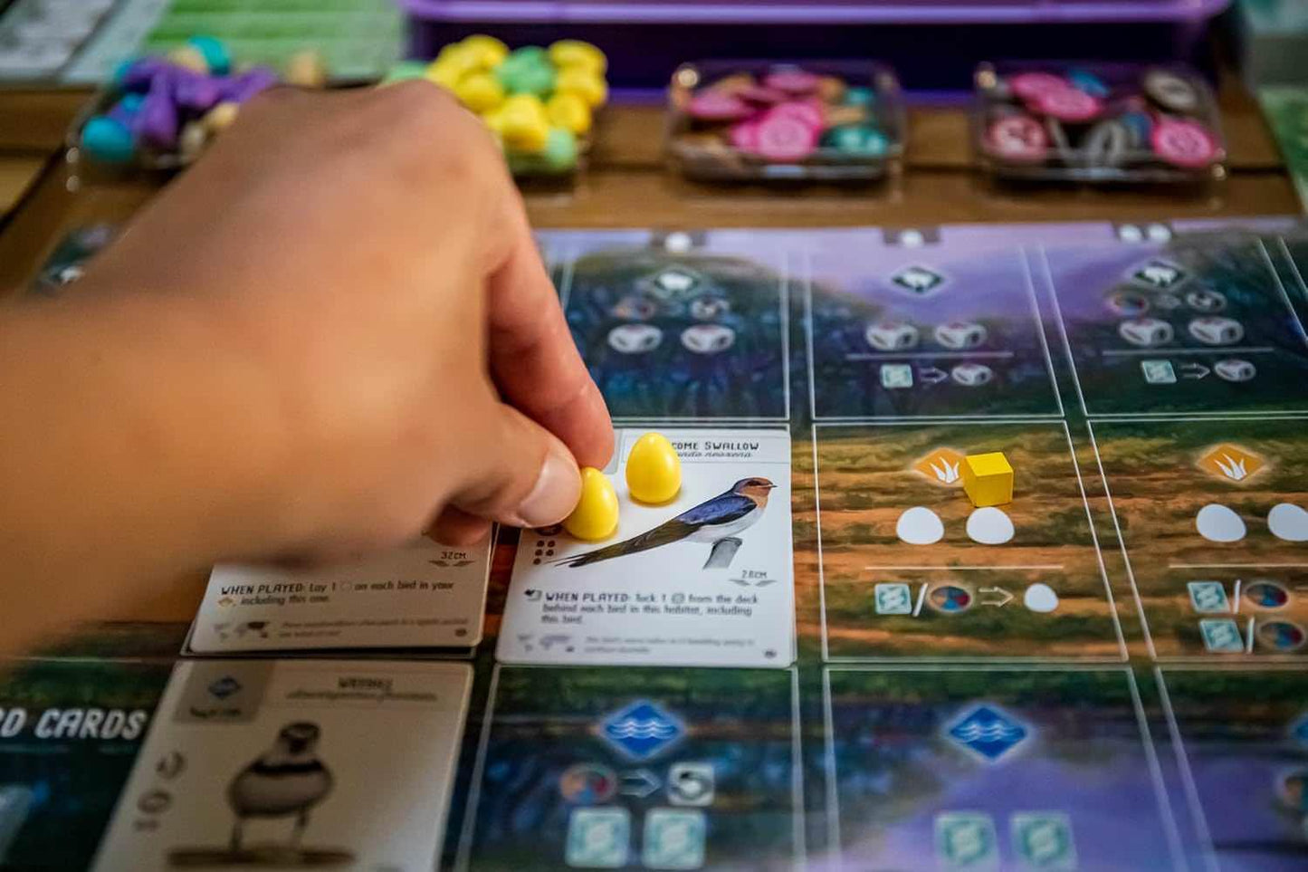 ボードゲーム Wingspan Oceania Expansion Wingspan ブランド 鳥カード95枚入り 新規ユニークデザイン黄色卵ミニチュア15個 蜜トークン69個 新ゲームメカニクス5枚プレイヤーマット ボーナスカード5枚 食料ダイス5個