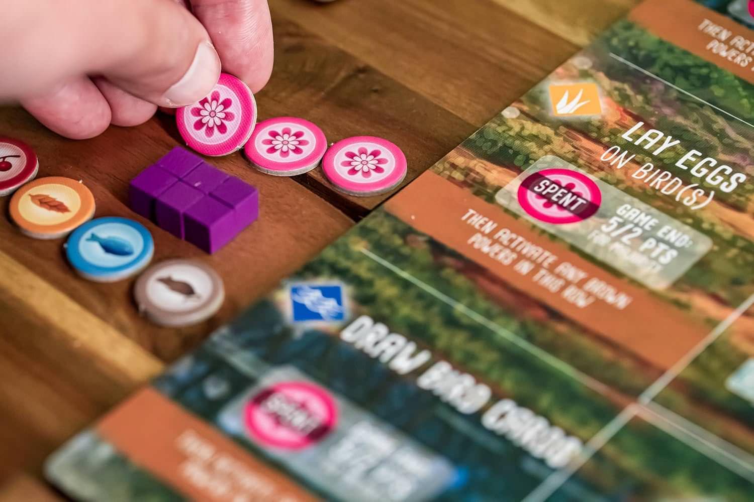 ボードゲーム Wingspan Oceania Expansion Wingspan ブランド 鳥カード95枚入り 新規ユニークデザイン黄色卵ミニチュア15個 蜜トークン69個 新ゲームメカニクス5枚プレイヤーマット ボーナスカード5枚 食料ダイス5個