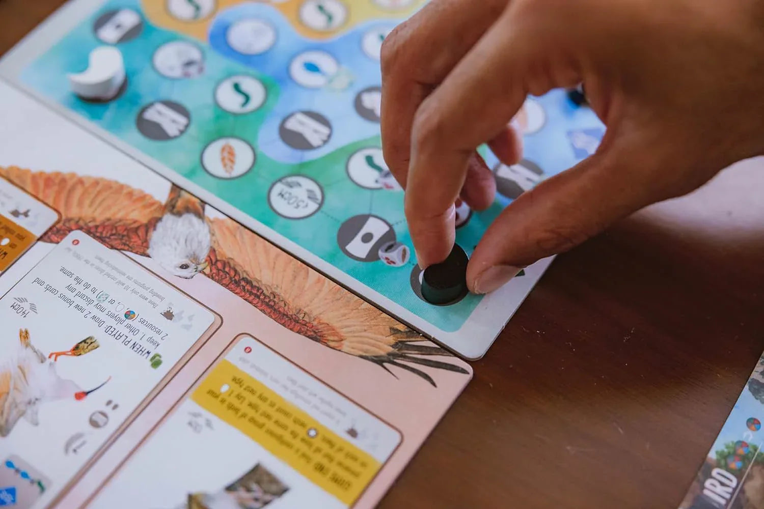 ボードゲーム Wingspan Asia Wingspan スタンドアロン対応 1-7人用 デュエットモード フロックモード ソロプレイ可能 豊富な鳥カードとボーナスカード 経済戦略教育テーマ 鳥類コレクション拡張