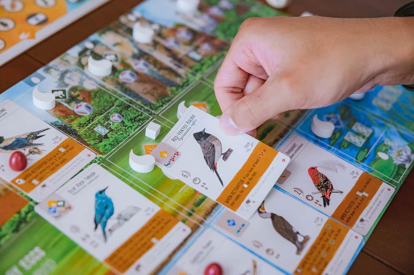 ボードゲーム Wingspan Asia Wingspan スタンドアロン対応 1-7人用 デュエットモード フロックモード ソロプレイ可能 豊富な鳥カードとボーナスカード 経済戦略教育テーマ 鳥類コレクション拡張