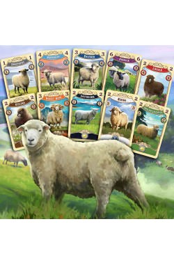 グレート・ウェスタン・トレイル:ニュージーランド【大人が没頭する究極の羊経営】冒険と戦略を楽しむ本格ボードゲーム