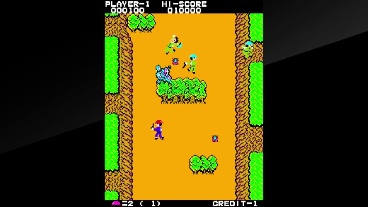 ゲームソフト タイトーマイルストーン Nintendo Switch ハムスター社協力 アーケード黄金時代10作品収録 ニンジャウォーリアーズ フェアリーランドストーリー QIX エレベーターアクション ワイルドウエスタン シューティング パズル