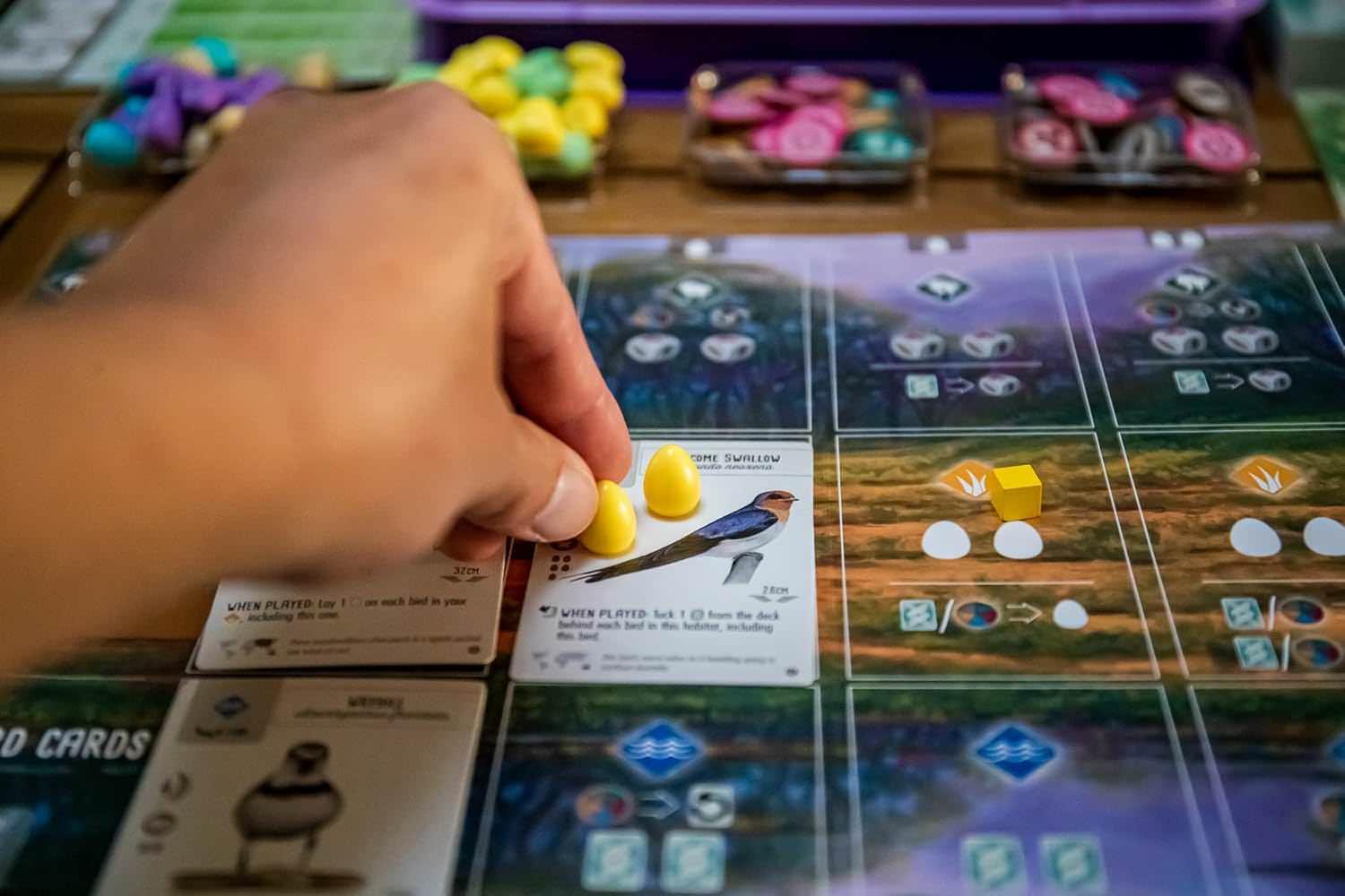 ボードゲーム Wingspan Oceania Expansion Wingspan ブランド 鳥カード95枚入り 新規ユニークデザイン黄色卵ミニチュア15個 蜜トークン69個 新ゲームメカニクス5枚プレイヤーマット ボーナスカード5枚 食料ダイス5個 