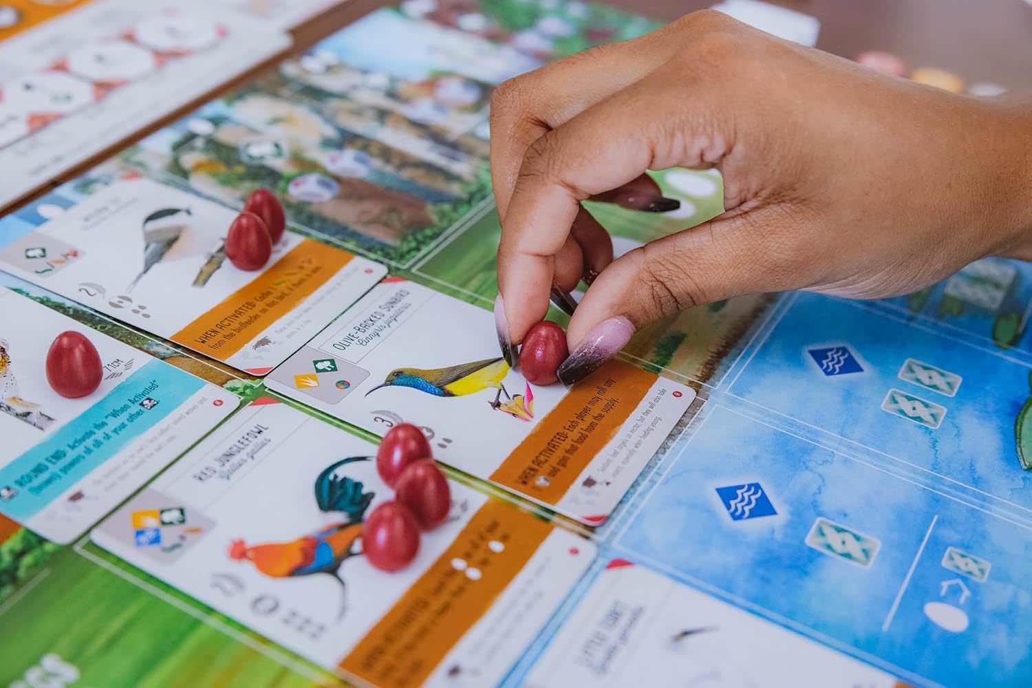 ボードゲーム Wingspan Asia Wingspan スタンドアロン対応 1-7人用 デュエットモード フロックモード ソロプレイ可能 豊富な鳥カードとボーナスカード 経済戦略教育テーマ 鳥類コレクション拡張 