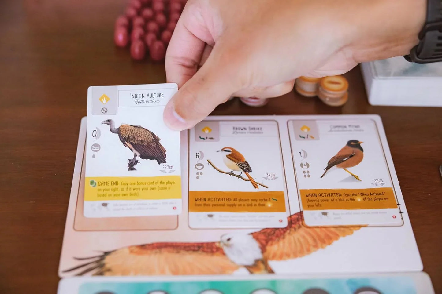 ボードゲーム Wingspan Asia Wingspan スタンドアロン対応 1-7人用 デュエットモード フロックモード ソロプレイ可能 豊富な鳥カードとボーナスカード 経済戦略教育テーマ 鳥類コレクション拡張 