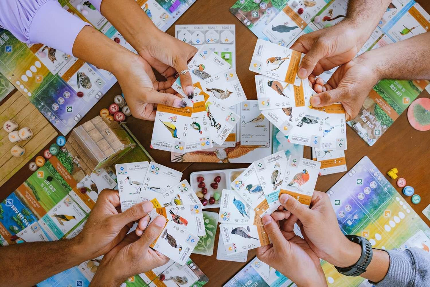 ボードゲーム Wingspan Asia Wingspan スタンドアロン対応 1-7人用 デュエットモード フロックモード ソロプレイ可能 豊富な鳥カードとボーナスカード 経済戦略教育テーマ 鳥類コレクション拡張 