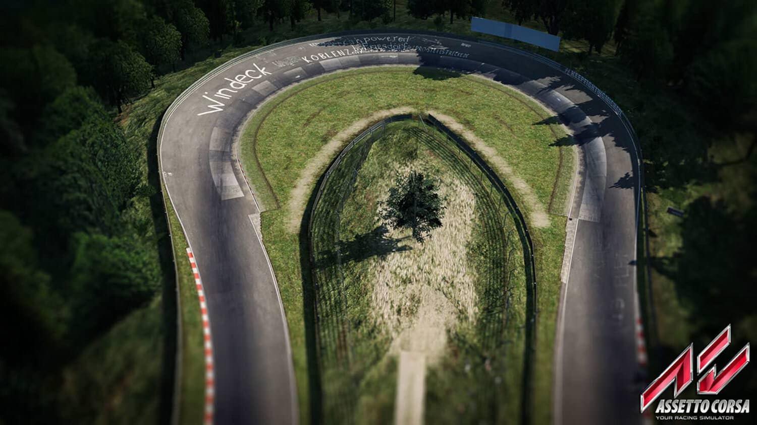 レーシングシミュレーション Assetto Corsa Ultimate Edition 505 Games 比類なきリアリズム 実車178台収録 全DLC搭載 16サーキット33レイアウト 本格ドライビング物理挙動再現 PS4対応 マルチプレイ対応 世界的名車多数搭載 並行輸入品