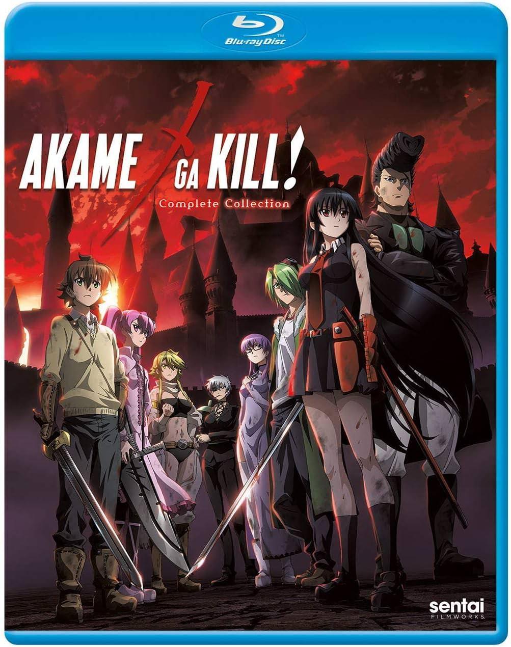 Blu-ray アカメが斬る！コンプリートコレクション 小林智樹監督作品 ダークファンタジーアクション 帝具使用の緊迫のバトル革命と友情が交錯する帝都で暗殺者たちが腐敗した権力に挑む壮大な全24話収録 高画質 Blu-ray アニメ