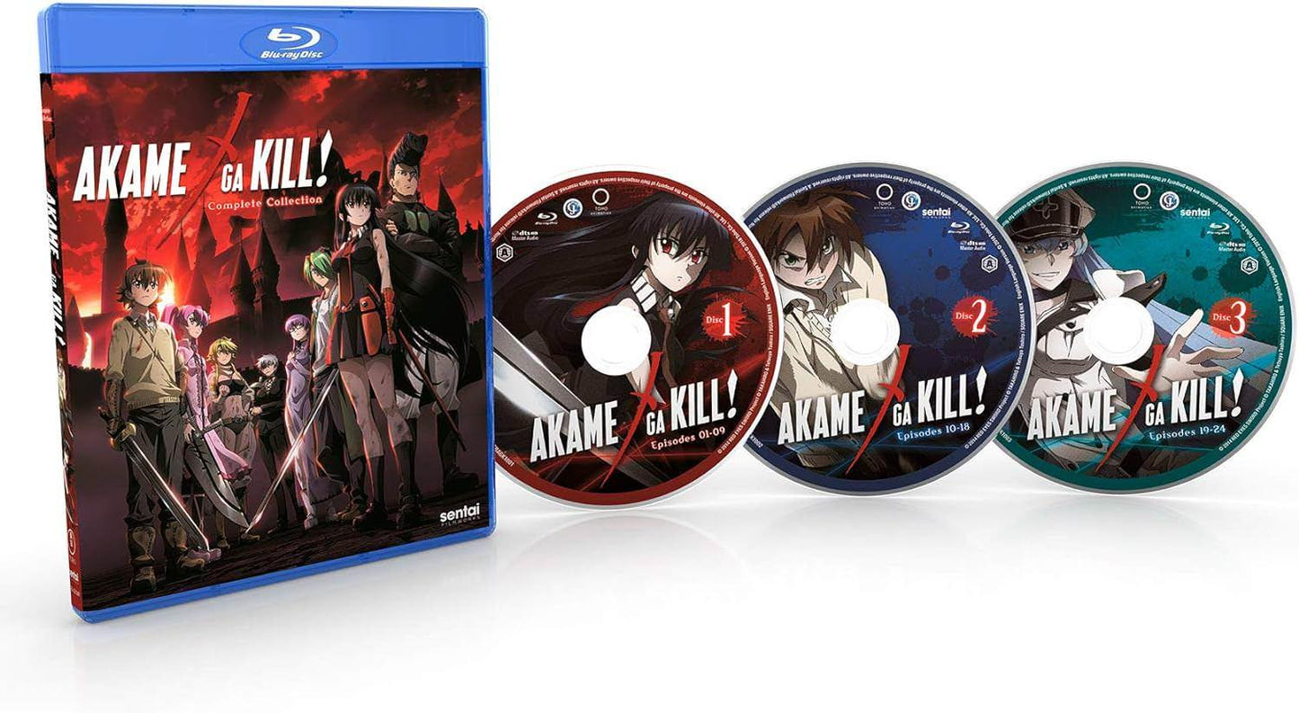 Blu-ray アカメが斬る！コンプリートコレクション 小林智樹監督作品 ダークファンタジーアクション 帝具使用の緊迫のバトル革命と友情が交錯する帝都で暗殺者たちが腐敗した権力に挑む壮大な全24話収録 高画質 Blu-ray アニメ