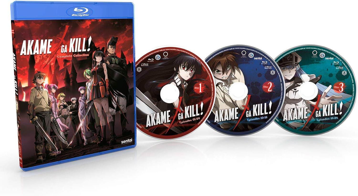 Blu-ray アカメが斬る！コンプリートコレクション 小林智樹監督作品 ダークファンタジーアクション 帝具使用の緊迫のバトル革命と友情が交錯する帝都で暗殺者たちが腐敗した権力に挑む壮大な全24話収録 高画質 Blu-ray アニメ