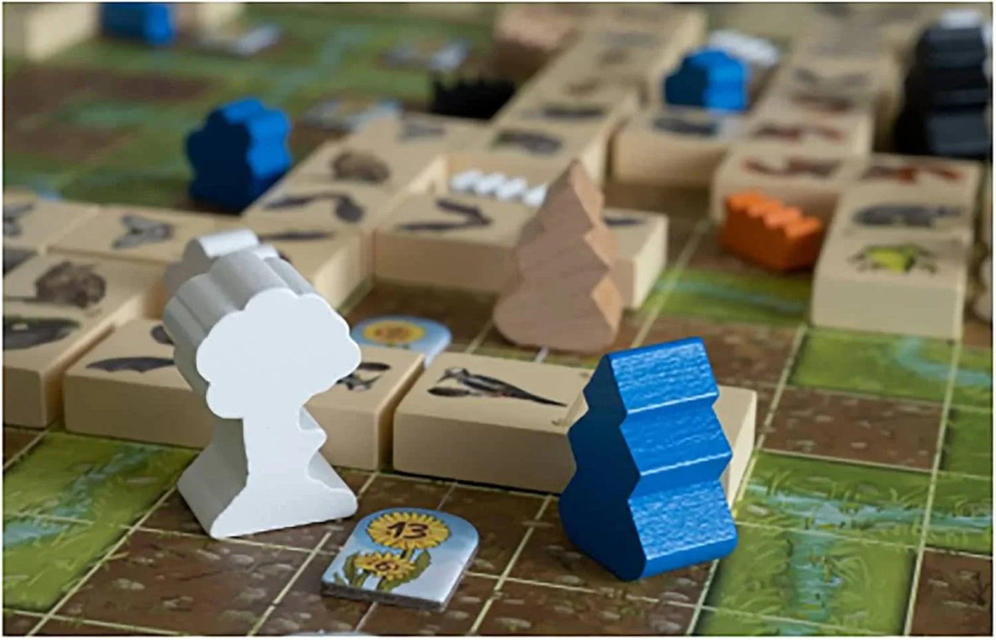ボードゲーム Renature Valley リネイチャー バレー Capstone Games カプストーン 拡張版 生態系 汚染された谷 Michael Kiesling Wolfgang Kramer キノコ 両面ゲームボード トークン クラウド 連結 拡大 エリア結合 戦略 切り株 環境 植栽 英語版 日本語説明書なし