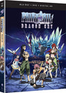 Blu-ray DVD 劇場版フェアリーテイル DRAGON CRY 魔法ファンタジー FAIRY TAIL 真島ヒロ総合プロデュース オリジナルストーリー 約200ページ渾身ネーム 壮大物語 フィオーレ王国ドラゴンクライ杖 DVD