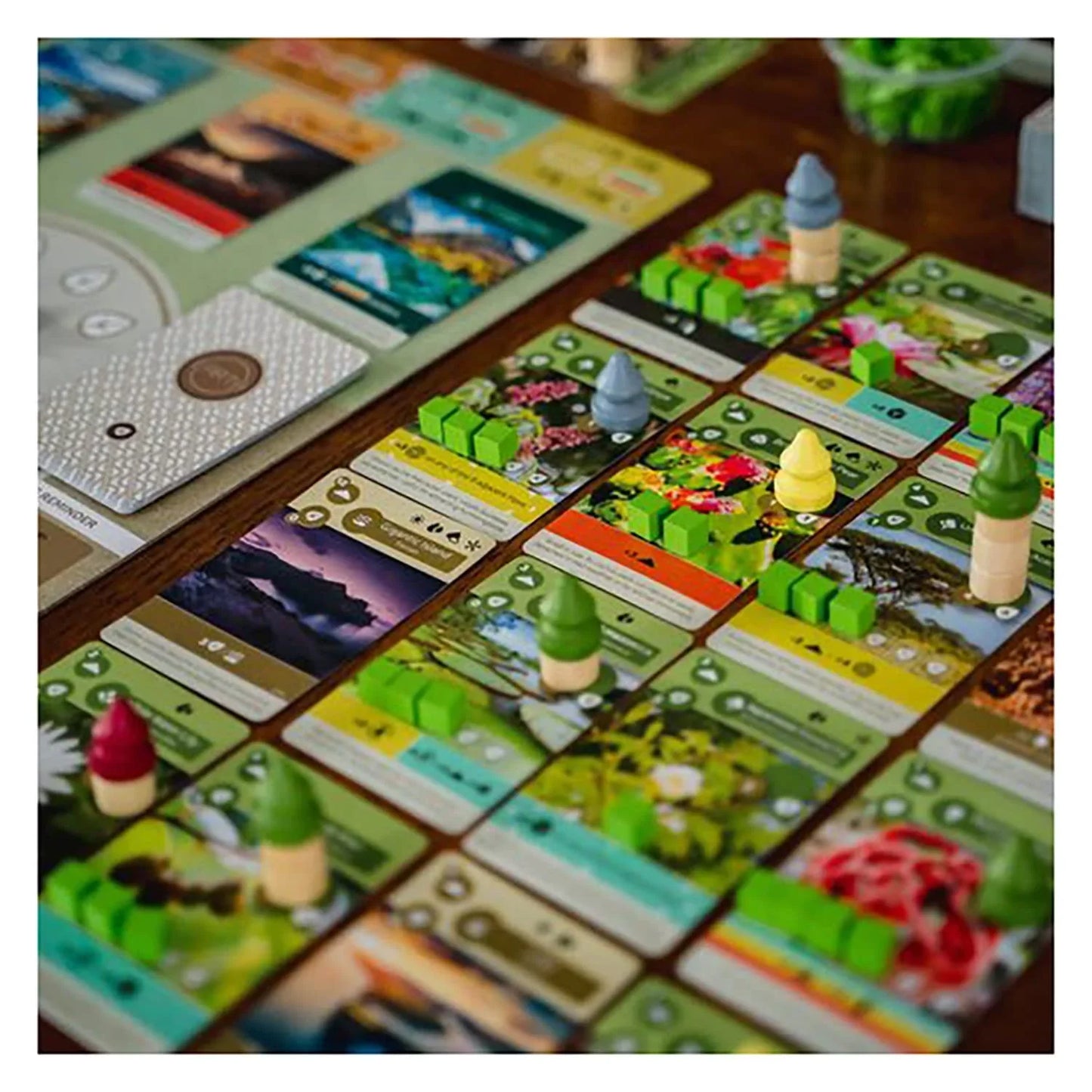 カードゲーム Earth アース 自然の摂理を再現する戦略カードゲーム 地球の驚くべき生態系を再現して育てる 多彩なカードと美しいアートワークで楽しむ環境テーマ ボードゲーム プレイ人数一から五人対象年齢十三歳以上 