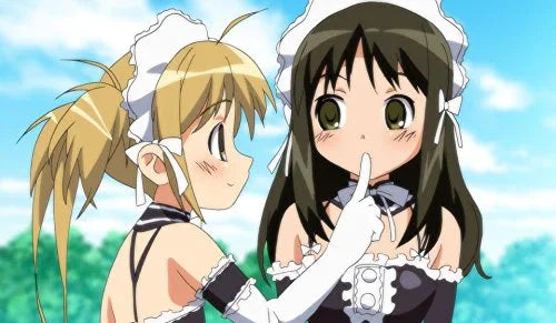 ブルーレイ これが私の御主人様 コンプリートコレクション ガイナックス 制作型破りなメイドアニメ 笑いと驚き満載の日常 思春期少年と個性豊かなメイドたちの物語 事故で両親を亡くし遺産相続