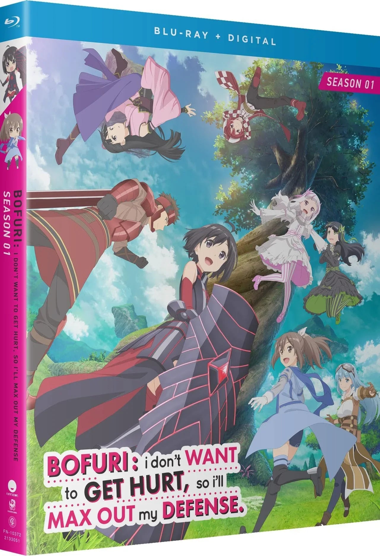 Blu-ray 痛いのは嫌なので防御力に極振りしたいと思います シーズン1 Silver Link 美麗なアニメーションと大沼心と未来みなと共同監督によるVRMMOゲーム舞台の痛快ファンタジー作品 完全版収録 高画質高音質 