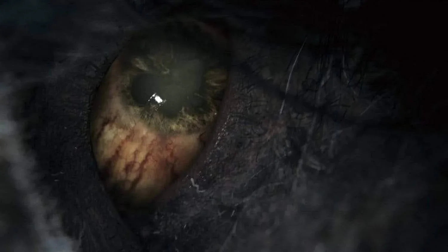 アクションRPG Bloodborne ブラッドボーン FROM SOFTWARE 新時代 独創的 ダークアクションRPG 狩人の物語 血の治療 ヤーナム 獣 狂気 謎 踏破 スピーディー ガンパリィ 銃反撃 立体的マップ探索 追加コンテンツ オールドハンター 並行輸入品