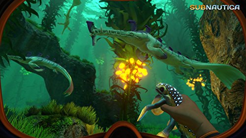 Subnautica 北米輸入版 PS4